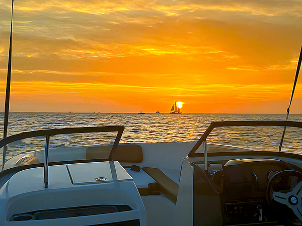 What You Can See on a Sunset Cruise in Tampa Bay