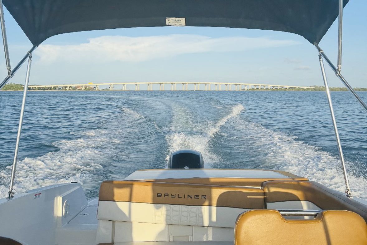Midday Cruises