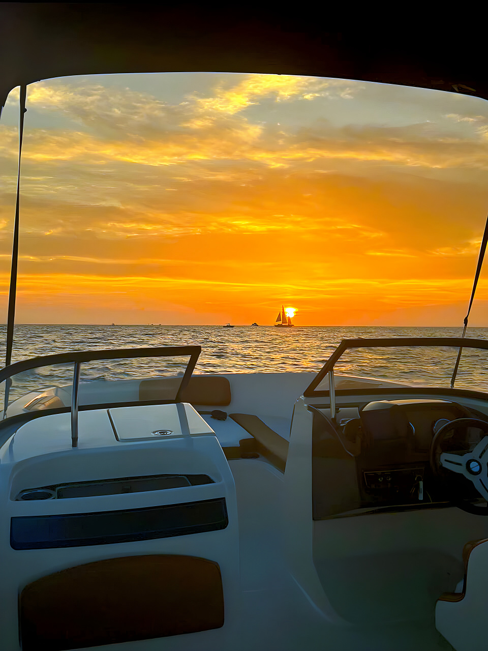 What You Can See on a Sunset Cruise in Tampa Bay